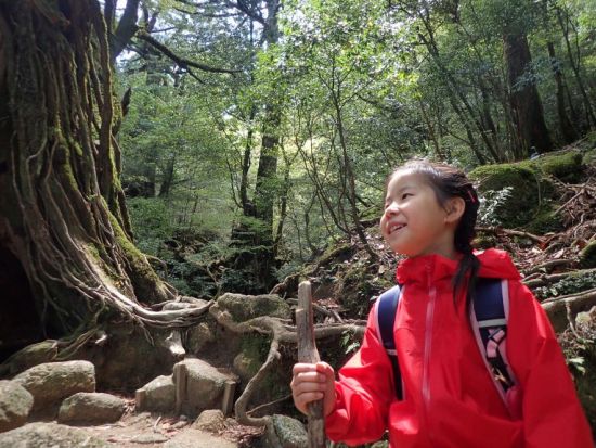 白谷雲水峡（苔むす森まで）トレッキング＆リバーカヤック 1日ツアー　屋久島公認ガイド 田脇さんがご案内　 by ショアーズ