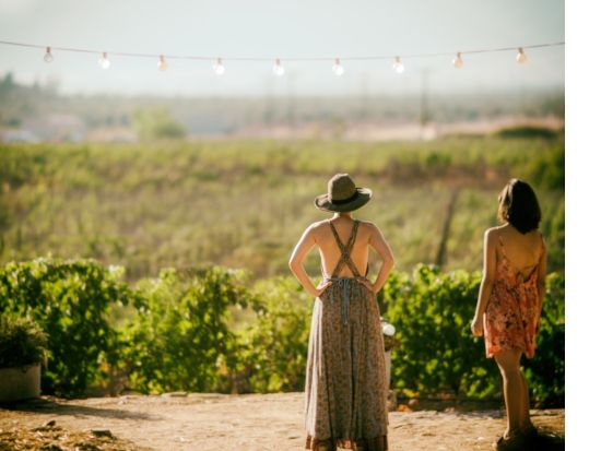 テメキュラバレーのワイナリー巡り　日本未上陸のハンバーガーショップ＆トレーダージョーズ立ち寄り付き ＜日本語ガイド／ロサンゼルス発＞ 