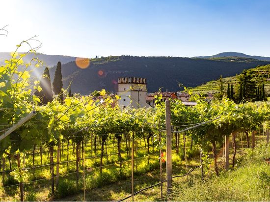 140B007092584B958BE7407CFB3780E3