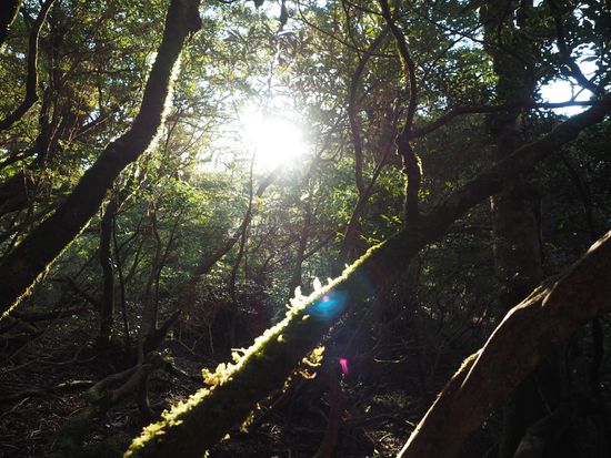 98CEE7E7-3F0B-46A6-B057-E1A63DF7D35D