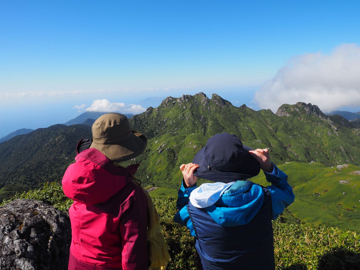 宮之浦岳日帰りトレッキングツアー 山頂からの景色や数々の高山植物を