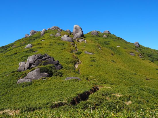 宮之浦岳日帰りトレッキングツアー　山頂からの景色や数々の高山植物を楽しもう　＜宮之浦から平内エリア送迎可＞ by 屋久島ガイド　山好き