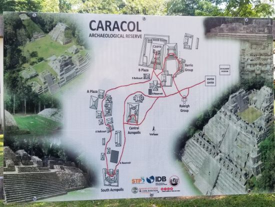 ベリーズ最大級のマヤ遺跡！カラコル遺跡日帰り観光ツアー＜日本語または英語ガイド／ベリーズシティ発＞