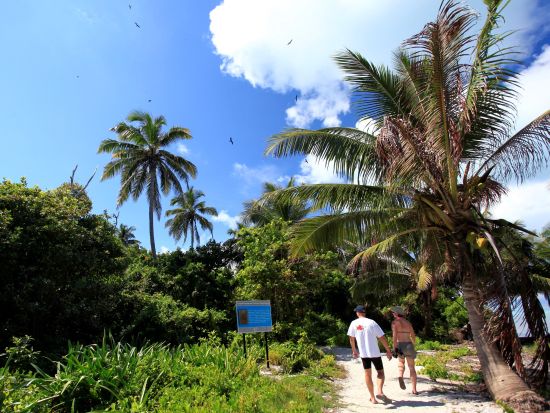 世界遺産でシュノーケル！ブルーホールシュノーケリングツアー＜英語インストラクター／サンペドロまたはキーカーカー発＞