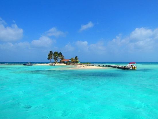 マナティウォッチング＆ゴフ島日帰り観光ツアー＜日本語または英語ガイド／ベリーズシティ発＞の写真5