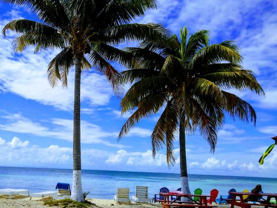 マナティウォッチング＆ゴフ島日帰り観光ツアー＜日本語または英語ガイド／ベリーズシティ発＞