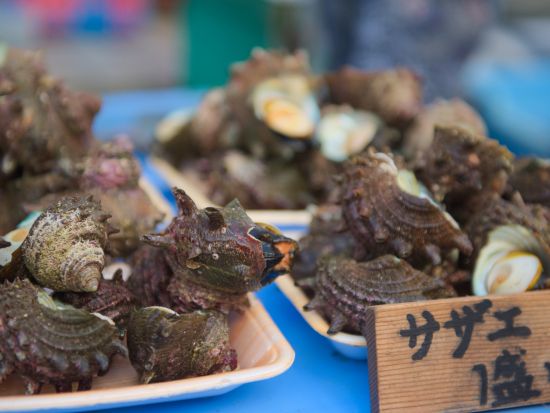 嬉野温泉駅発／武雄市内着貸切観光タクシー　呼子コース　呼子朝市＋七ツ釜遊覧　イカの町・呼子で新鮮なイカ料理に舌鼓　＜約6時間＞ by 温泉タクシー