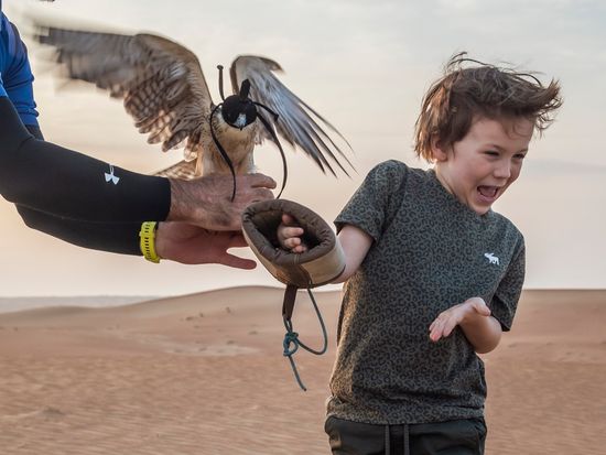 Royal Shaheen - Official Shoot - 2019 - 2