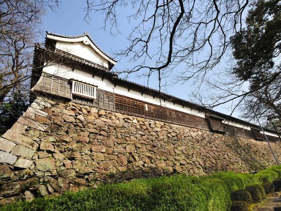 福岡市内発着観光タクシー　福岡市内観光　大濠公園＋福岡城跡＋日本庭園＋福岡タワー＋マリゾンなどご希望の場所へご案内 ＜最大9名／3時間＞