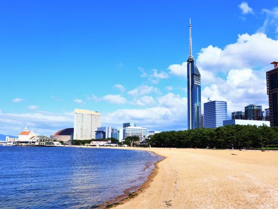 福岡市内発着観光タクシー　福岡市内観光　大濠公園＋福岡城跡＋日本庭園＋福岡タワー＋マリゾンなどご希望の場所へご案内 ＜最大9名／3時間＞