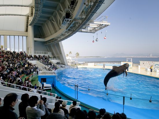 マリンワールド