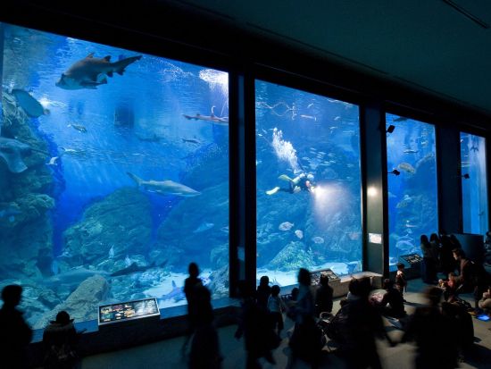 福岡市内発着貸切観光タクシー　福岡市内観光コース　櫛田神社＋崇福寺＋筥崎宮＋香椎宮＋マリンワールド＋海の中道海浜公園　＜最大9名／5時間／福岡市内送迎可＞