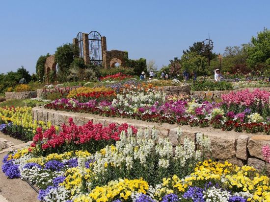 福岡市内発着貸切観光タクシー　福岡市内観光コース　櫛田神社＋崇福寺＋筥崎宮＋香椎宮＋マリンワールド＋海の中道海浜公園　＜最大9名／5時間／福岡市内送迎可＞