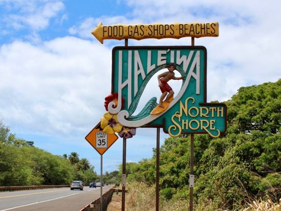 バン貸切チャーター　人気ガイドのグレン・大城さん確約！ハワイ在住30年以上のベテランガイドによるオーダーメイドツアー＜1～12名／6～12時間／日本語ガイド＞