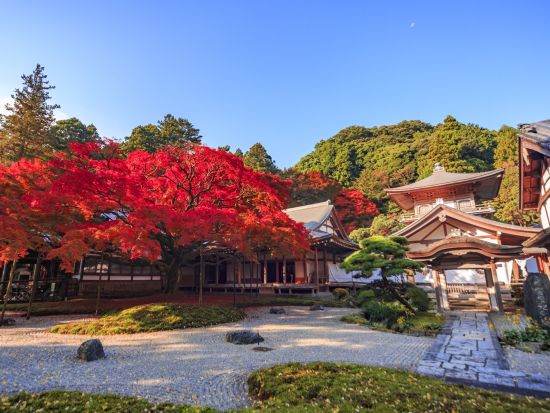 福岡市内発着貸切観光タクシー　糸島観光コース　櫻井神社＋桜井二見ヶ浦の夫婦岩＋白糸の滝＋雷山千如寺大悲王院へご案内 ＜最大9名／6時間／福岡市内送迎可＞