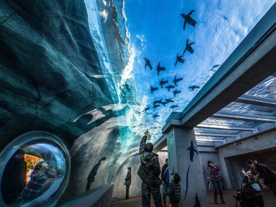 佐世保市内発着貸切観光タクシー　九十九島動植物園森きらら＋石岳展望台園地＋九十九島パールシーリゾートなどご希望の場所へご案内＜最大9名／4時間＞