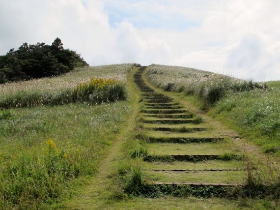 佐世保市内発着貸切観光タクシー　カトリック田平教会＋平戸大橋＋平戸城＋平戸ザビエル記念教会＋川内峠などご希望の場所へご案内＜最大9名／6時間＞