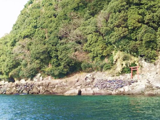 【愛犬連れOK】霧島錦江湾クルーズ　桜島東回りコース　新島上陸＆愛犬との観光付き！＜午前・午後／2時間 or 2時間40分／霧島市＞