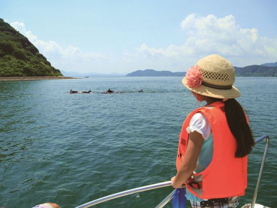 【愛犬連れOK】霧島錦江湾クルーズ　小型犬参加OKの桜島西回りコース　桜島上陸付きで愛犬と充実した観光を！＜午後／1時間50分 or 2時間40分／霧島市＞