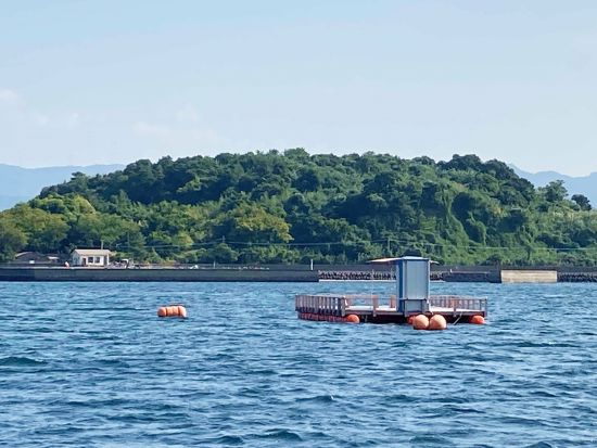 【愛犬連れOK】霧島錦江湾クルーズ　桜島東回りコース　新島上陸＆愛犬との観光付き！＜午前・午後／2時間 or 2時間40分／霧島市＞