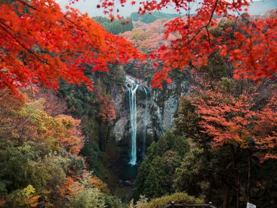 別府市内発着貸切観光タクシー　別府滝めぐり！慈恩の滝＋福貴野の滝＋東椎屋の滝などご希望の場所へご案内＜最大9名／6時間＞