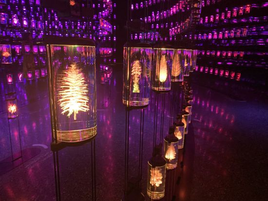 事前予約推奨！未来博物館（The Museum of the Future）入場チケット予約 *新スポットで未来のテクノロジーを体感＜往路片道送迎プランあり＞