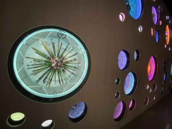 事前予約推奨！未来博物館（The Museum of the Future）入場チケット予約 *新スポットで未来のテクノロジーを体感＜往路片道送迎プランあり＞