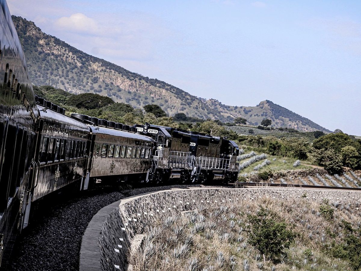 世界遺産テキーラ村へ豪華列車で行く！片道乗車＋蒸留所見学の1日