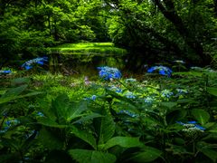 Niigata_Sado_乙和池_pixta_89646303_M
