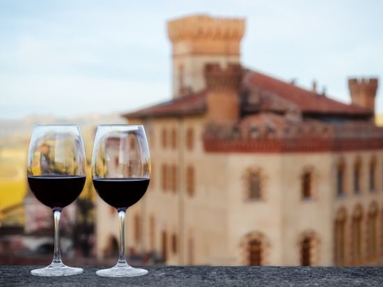 イタリア日帰りワインツアー　ピエモンテ州バローロ＆バルバレスコ ＜貸切／試飲付き／日本語ガイド／ミラノ発＞