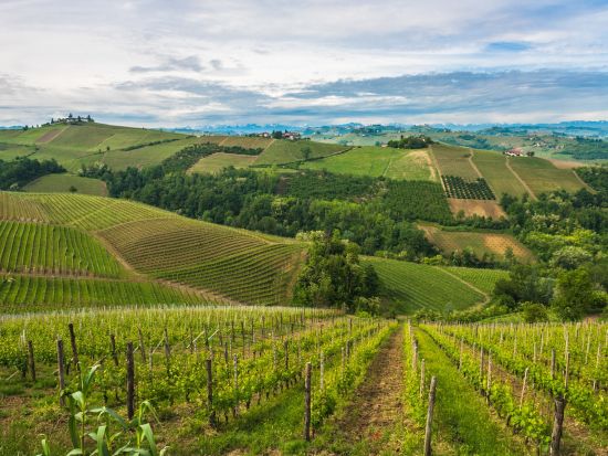 イタリア日帰りワインツアー　ロンバルディア州フランチャコルタ ＜貸切／現地語ドライバー／ミラノ発＞