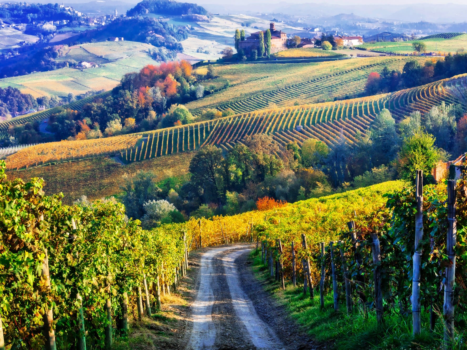 ピエモンテの葡萄畑の景観 (イタリアの世界遺産) | イタリアの観光