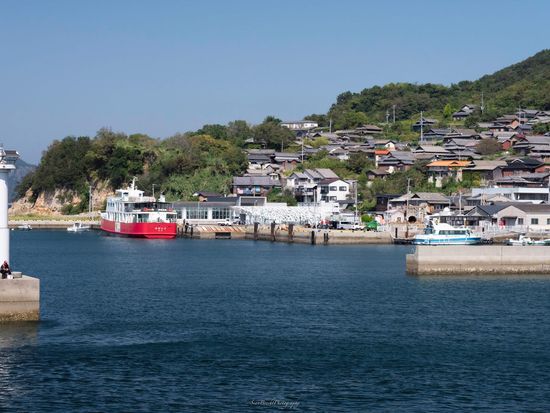 245200324_474220547028876_916097774120978078_n