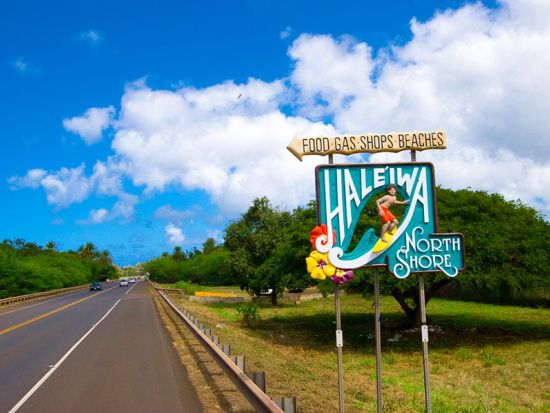 バンまたはミニバス貸切チャーター　ドール・パイナップル農園工場見学＆ハレイワタウン自由散策ツアー　パイナップルのお土産付き＜10名～／日本語ガイド付き＞