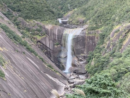 モッチョム岳日帰りトレッキングツアー　ロープ場ありの急登登山！樹齢3,000年の万代杉や海岸線の絶景を楽しめる＜宮之浦～平内エリア送迎可＞by屋久島ガイド山好き