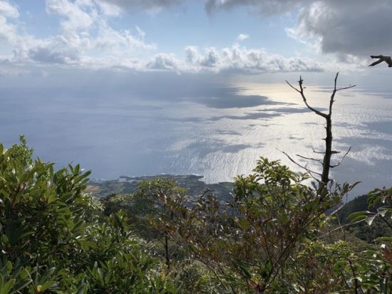 モッチョム岳日帰りトレッキングツアー　ロープ場ありの急登登山！樹齢3,000年の万代杉や海岸線の絶景を楽しめる＜宮之浦～平内エリア送迎可＞by屋久島ガイド山好き
