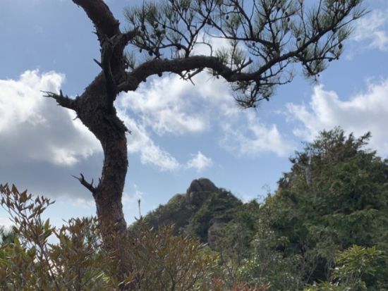 モッチョム岳日帰りトレッキングツアー　ロープ場ありの急登登山！樹齢3,000年の万代杉や海岸線の絶景を楽しめる＜宮之浦～平内エリア送迎可＞by屋久島ガイド山好き
