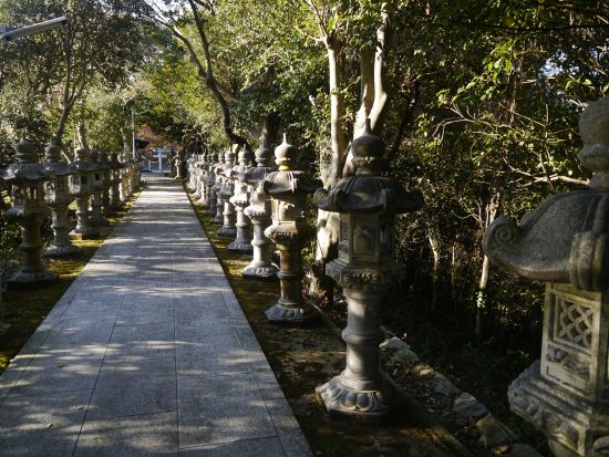 【宮コース】家島おさんぽツアー パワースポット家島神社＋絶景ポイントの清水公園へ！瀬戸内の自然を感じる宮地域を地元ガイドがご案内＜1時間30分／家島＞