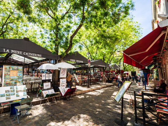 パリ市内 半日観光ツアー　エッフェル塔の撮影ポイント＋モンマルトルの丘＋ノートルダム大聖堂など　ランチ付きプランあり＜午前／日本語ガイド＞by Mybus