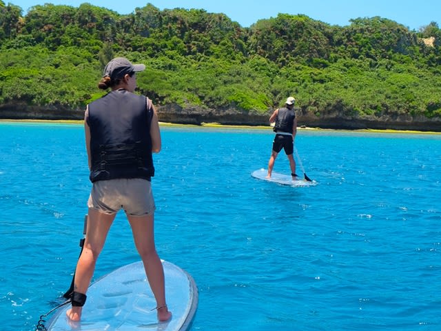 クリアSUP体験 海の中まで見渡せる透明なボードでエメラルドグリーンの海を水上散歩 選べるアクティビティ付きプランあり＜1～2時間／瀬底島＞ |  沖縄本島の観光・オプショナルツアー専門 VELTRA(ベルトラ)