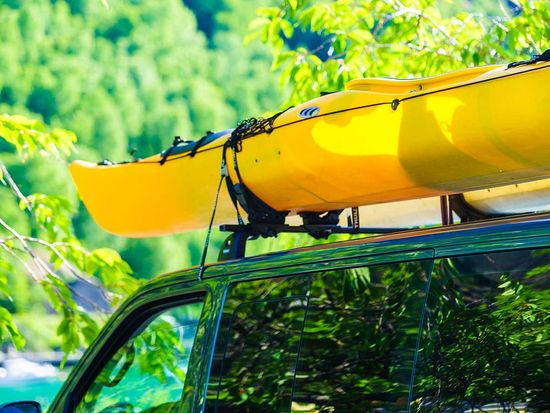 shutterstock_1787223764