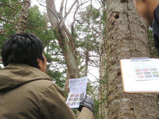 スカベンジャー