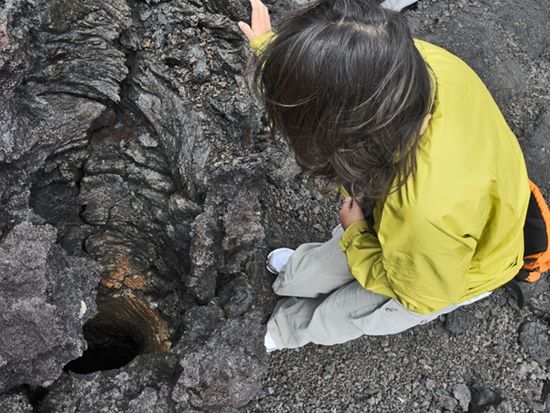 5溶岩樹の穴をのぞいてみよう