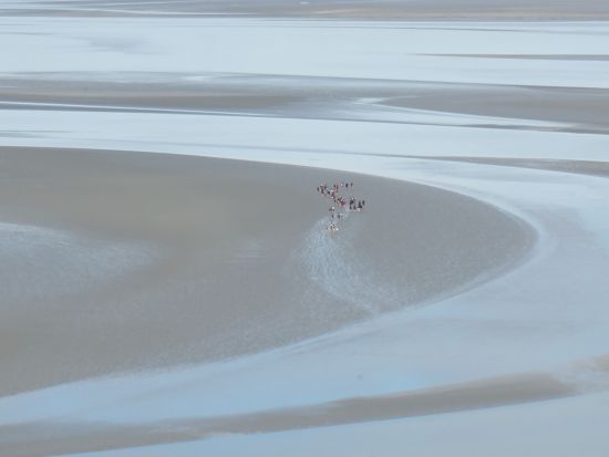 モンサンミッシェル　干潟ウォーキングツアー ＜4～11月／英語ガイド＋日本語アシスタント／現地集合・解散＞