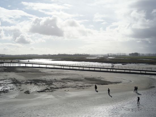 モンサンミッシェル　干潟ウォーキングツアー ＜4～11月／英語ガイド＋日本語アシスタント／現地集合・解散＞