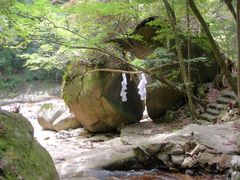 DSCN5285