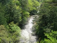 DSCN5381