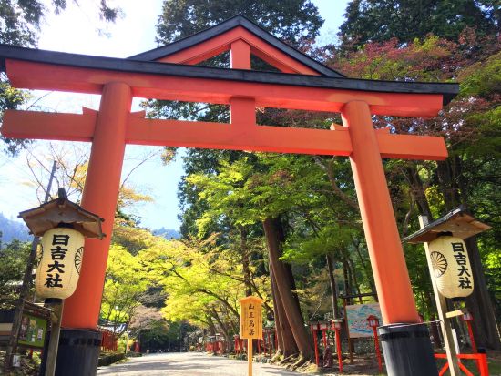 坂本まちあるきツアー 比叡山延暦寺の門前町・坂本を巡る！穴太衆積みの石垣と里坊の街並みに歴史を感じる旅 ＜3時間／約3.5km／大津市＞