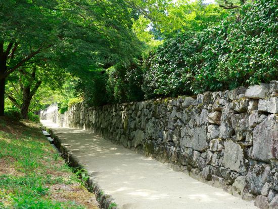 坂本まちあるきツアー 比叡山延暦寺の門前町・坂本を巡る！穴太衆積みの石垣と里坊の街並みに歴史を感じる旅 ＜3時間／約3.5km／大津市＞