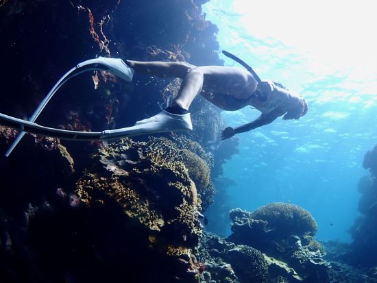 スキンダイビング（素潜り）体験　インスタ映えバッチリの水中写真プレゼント付き！＜少人数制／市街地ホテル送迎無料／石垣島発＞by ファウスト石垣島